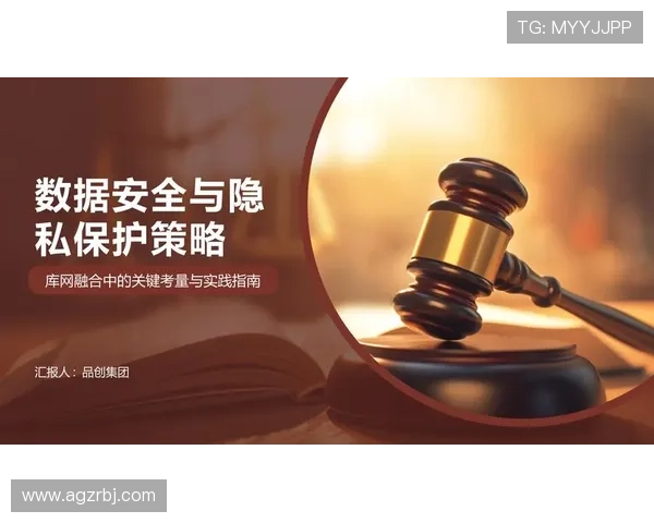 NE真人电子APP的安全保障措施与用户隐私保护策略分析